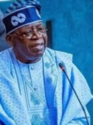 Credit Guarantee Scheme: Tinubu Excites MSMEs