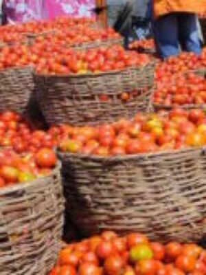 Relief As Tomatoes Prices Crash