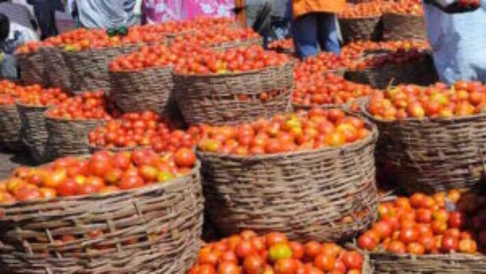 Relief As Tomatoes Prices Crash