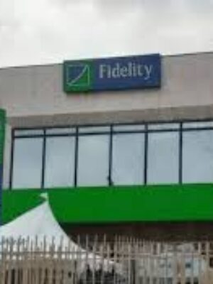 Fidelity Bank Sets To Launch Innovative SME Hub With Creative Studios